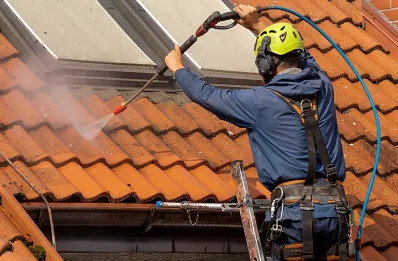 Démoussage et hydrofuge de toiture à Anjou